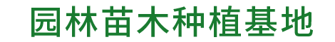 广西园林苗木种植基地